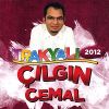 Download track Çılgın Roman