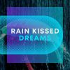 Download track Rain Walk