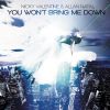 Download track You Won't Bring Me Down (Radio Edit) (Allan Natal)