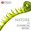 Download track Waldszenen, Op. 82 III. Einsame Blumen