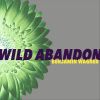 Download track Wild Abandon (Acoustic)