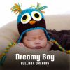 Download track Baby Sleep Songs