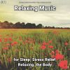 Download track Fantastic Relaxing Music