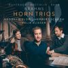 Download track Trio For Horn, Violin And Piano No. 2 In F Major: II. Moderato