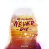 Download track My Friends Never Die