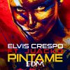 Download track Pintame (EDM)