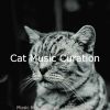 Download track Chilled Music For Relaxing Your Cat