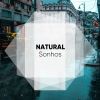 Download track Sons De Chuva De Natureza Relaxante