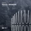 Download track Peace (Extended Mix)