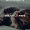 Download track Soulful Ambiance For Relaxing Your Cat