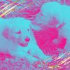 Download track Soulful Ambience For Calming Puppies