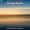 Download track Ruhige Musik Teil 17