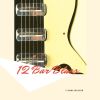 Download track 12 Bar Blues (Blues Rock)