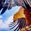 Download track The Eagle Departure (Andy Woldman Remix)