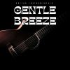 Download track Gentle Groove