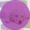 Download track Sparkling Moods For Sweet Dogs