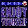 Download track Enjoy Yourself (Radio Edit)