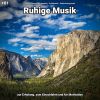 Download track Ruhige Musik Pt. 22