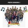 Download track Carnaval Putleco / El Toro / De Petate / Feria Chilpancingueña / El Son Apareado