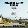 Download track Pleasent Valley Sunday (Live)