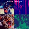 Download track Paradise Like (Cute Kittens)