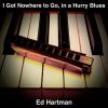 Download track I Got Nowhere To Go, In A Hurry Blues