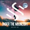 Download track Moonlight (Original Mix)