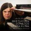 Download track Beethoven Sonata Op. 2 N 3 Allegro Con Brio I'