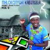 Download track Ilungelo Lethu