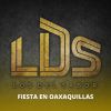 Download track Los Tlacololeros / Son De Victoria / Son De Mi Costa