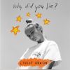 Download track Why Did You Lie?