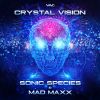 Download track Crystal Vision