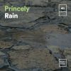 Download track Princely Rain, Pt. 4