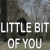 Download track Little Bit Of You - Tribute To Chase Bryant (Instrumental Version)