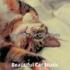 Download track Exquisite Moods For Kittens