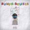 Download track Bumps & Bruises (Interlude)