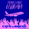 Download track Planes Over Ushuaia (Cats On Bricks Festival Hands Up Mix)