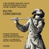 Download track Johann Friedrich Fasch Concerto In E Minor For Flute, Oboe And Strings, FWV Lh1 - III. Allegro
