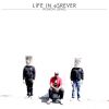 Download track Life In Reverse (Cowgirl)