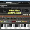 Download track Jupiter 8 Forest