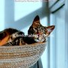 Download track Background For Relaxing Your Cat