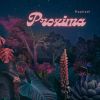 Download track Proxima (Radio Edit)