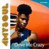 Download track Drive Me Crazy