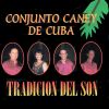 Download track Como Canta Mi Contrabajo