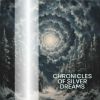 Download track Energy Healing Bowl: Chronicles Of Silver Dreams