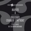 Download track Kammersinfonie I. Gemäßigt. Moderato (Arr. For Chamber Orchestra After String Quintet In F Major, WAB 112)