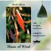 Download track Music Of Wind