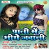 Download track Pani Me Bheege Jawani