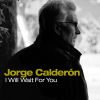 Download track I Will Wait For You