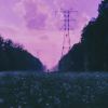 Download track In The Field (Slowed)